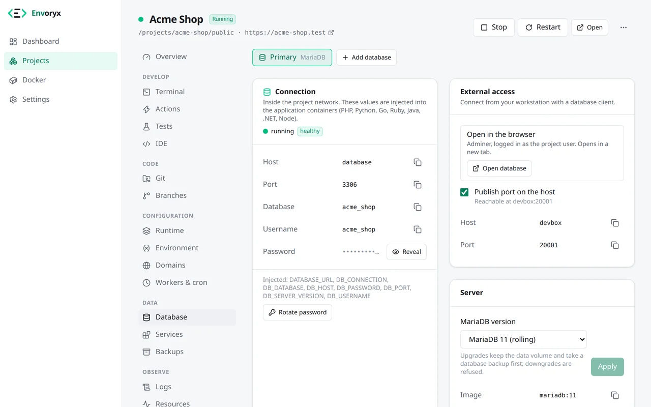 Der Bereich Datenbank eines Projekts: die Verbindungsdaten mit verdecktem Passwort und „Passwort rotieren“, der externe Zugriff mit „Datenbank öffnen“ und dem veröffentlichten Port, rechts die Server-Version