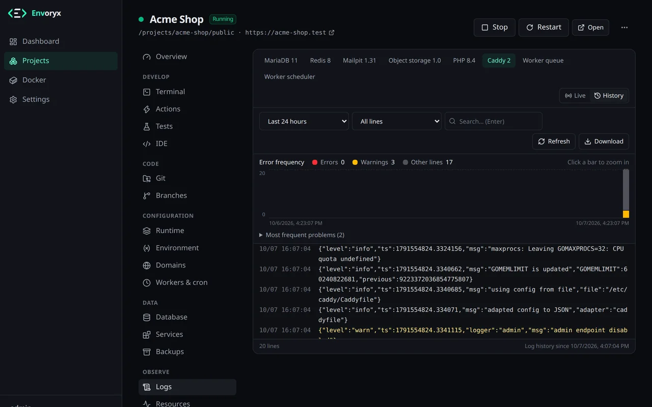 Die Ansicht Verlauf im Log des Webservers: Filter für Zeitraum und Level, ein Diagramm mit Fehlern, Warnungen und übrigen Zeilen und darunter die passenden Logzeilen