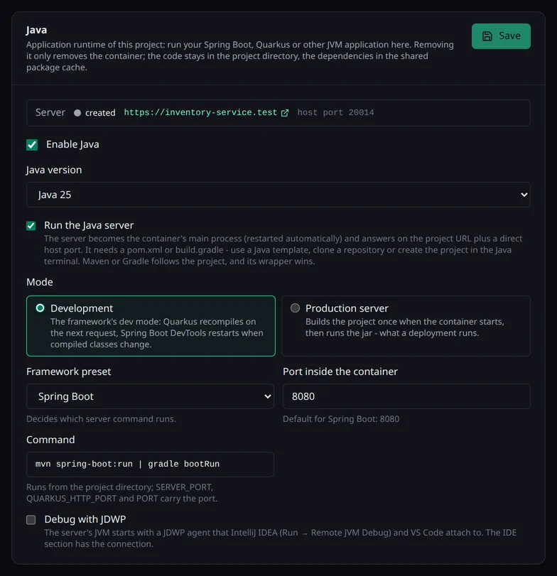 Die Karte Java im Bereich Laufzeit mit der Version, dem eingeschalteten Spring-Boot-Server, dem Modus, dem Port und der Option für JDWP