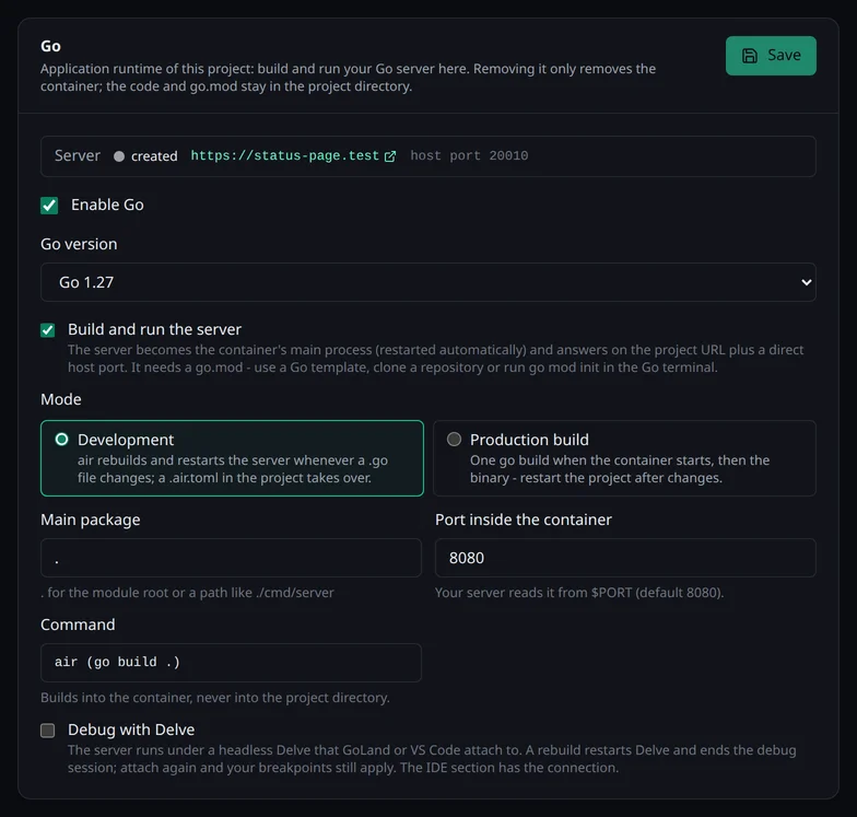 Die Karte Go im Bereich Laufzeit mit der Version, dem eingeschalteten Server, dem Modus, dem Main-Package, dem Port und der Option für Delve