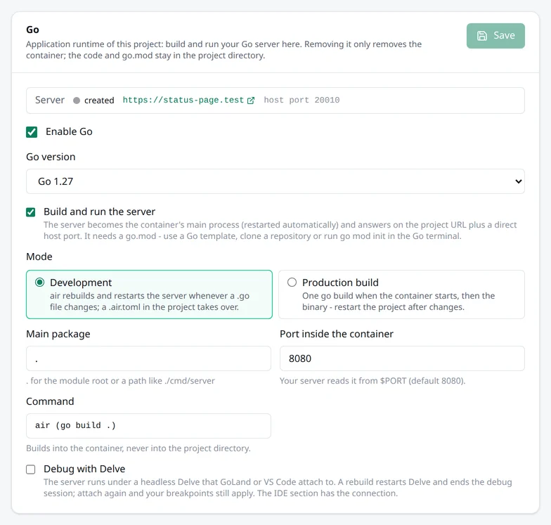 Die Karte Go im Bereich Laufzeit mit der Version, dem eingeschalteten Server, dem Modus, dem Main-Package, dem Port und der Option für Delve