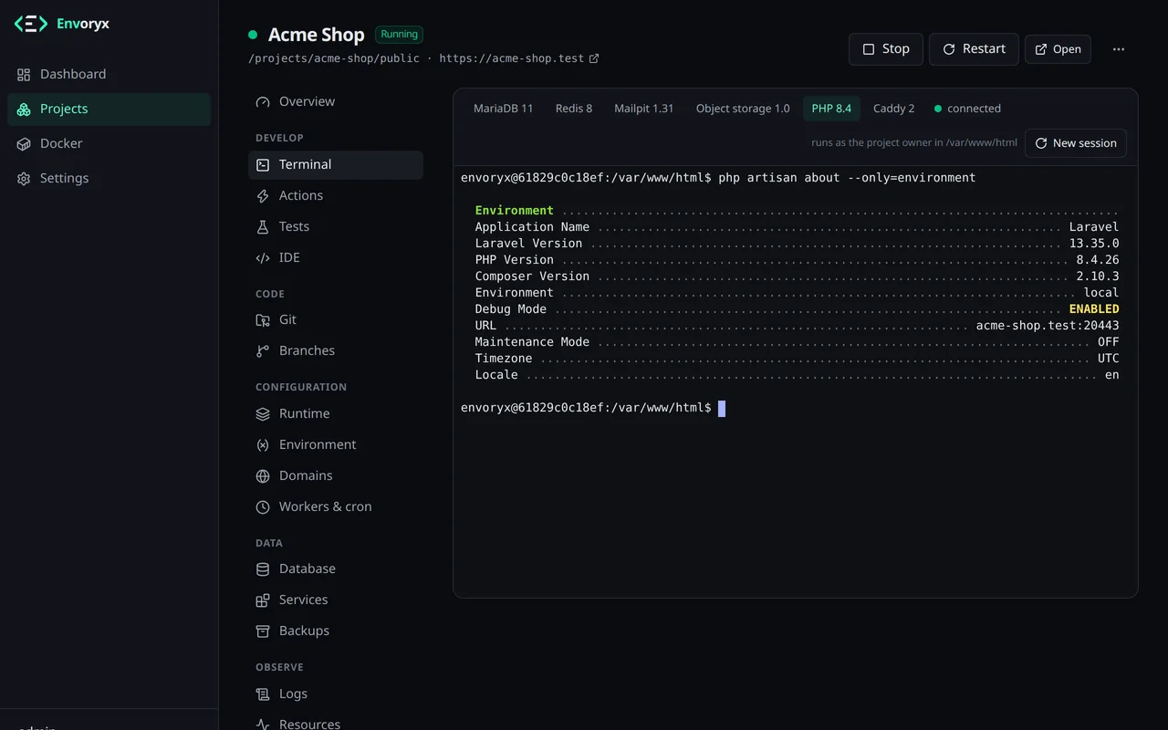 Der Bereich Terminal mit einer Shell im PHP-Container und der Ausgabe von php artisan about