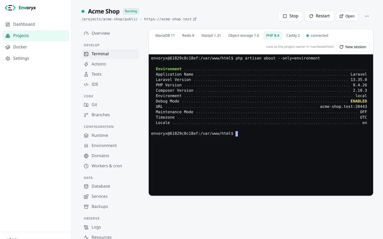 Der Bereich Terminal mit einer Shell im PHP-Container und der Ausgabe von php artisan about